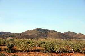 Cabezo del Moj�n con Almendros 