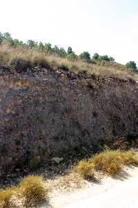 F�siles de Majar de Gracia 