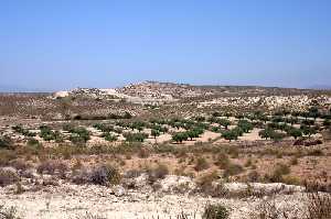 Paisaje de La Pinilla 