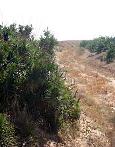 Paraje Rambla de la Marquesa 