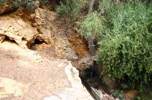 Fuente de la Rambla del Ca�ar 