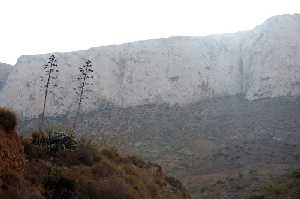 Paisaje de Pe�as Blancas 