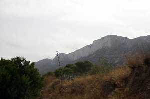 Paisaje Rambla del Ca�ar 