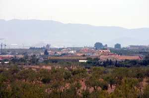 Almendros con Cuesta Blanca al Fondo 
