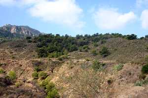 Vista General del Paraje Natural Sierra de la Muela 