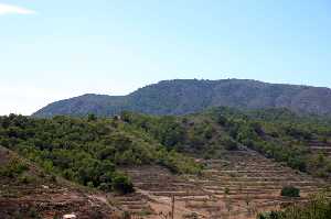 Sierra de la Muela en Galifa 