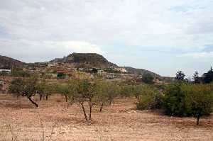 Vegetaci�n y Almendros 