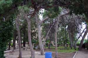 Casona Los Pinos y Jard�n 