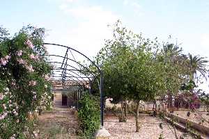 Jard�n de la Torre Anto�ita 