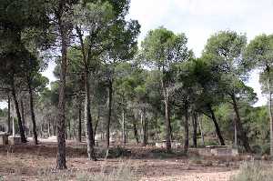 �rea Recreativa Collados de Carrasca 