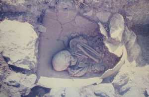 Urna en una excavaci�n [La Bastida de Totana]