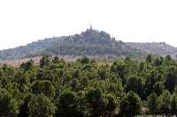 Santo del Sagrado Coraz�n de Jes�s 