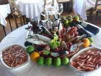 Una seleccin de los pescados del Mar Menor