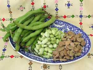 Bodeg�n de Habas[Zarandona]