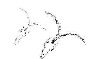 Calcos de Conjunto del Arco 