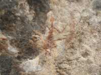 Figuras femeninas de la mano en Los Grajos III 