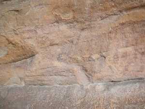 Pinturas naturalistas en Los Grajos [Yacimientos Cieza]