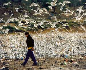 La regulacin de los vertidos orgnicos es indispensable para el control de las poblaciones