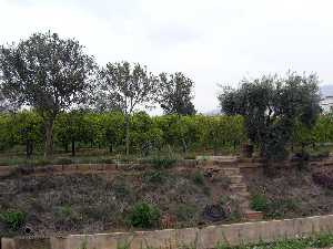 Huerto y acceso a acequia 