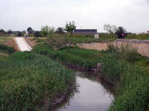 Rio Segura Soto San Isidro [El Raal]