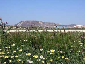 Cerro cercano a Y�char 