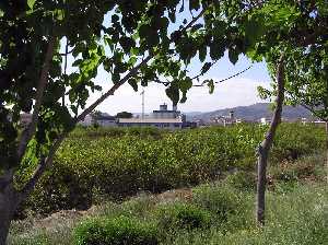 Vista de Alquer�as desde la vereda del r�o