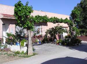 Casa t�pica con moreras en el jard�n