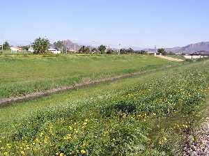 R�o Segura[Alquer�as]