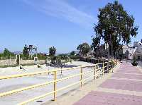 Paseo de Las Palmeras