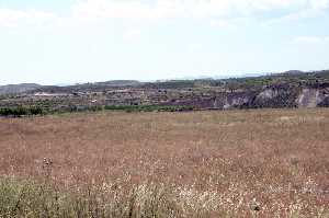 Paisaje de la zona