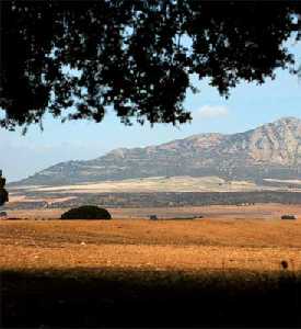 Aspecto general de una llanura esteparia