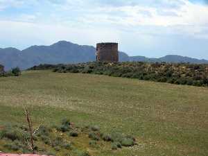 Molino junto a Mazarr�n