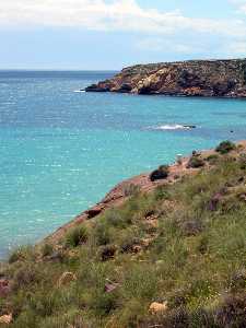 Vista de vegetaci�n aut�ctona, el mar y las calas