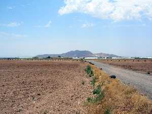 Cabezo Gordo[Jer�nimo y Avileses]