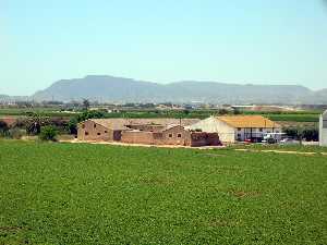 Finca con cultivo