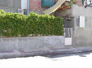 Casa con vegetaci�n de trepadoras