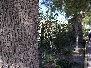 Detalle de los jardines p�blicos
