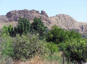 Sierra de la Espada