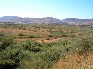 Vista del campo del Hond�n[El Hond�n]