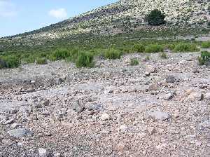 Estribaciones de serran�a 