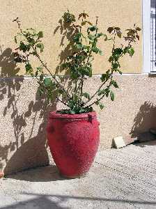 Viejos �tiles, nuevas utilidades 