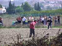 Tirando el legn 