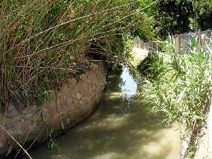 Aljuf�a [La Albatal�a]