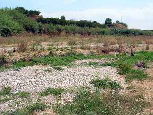 Cauce seco r�o Argos 