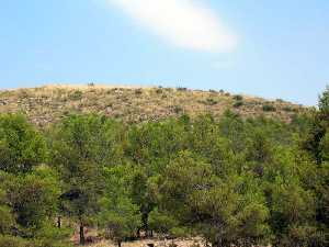 Paraje natural. Fuente Juan Gonz�lez 