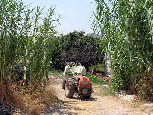 Peque�o tractor 