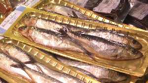 Sardinas en salazn 