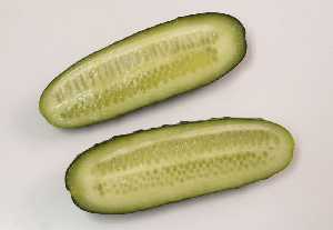 Seccin de un pepino 