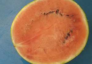 Secci�n de una sand�a 