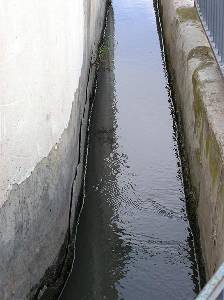Acequia 